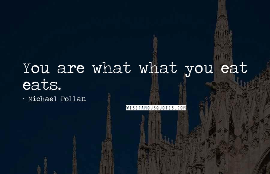 Michael Pollan Quotes: You are what what you eat eats.