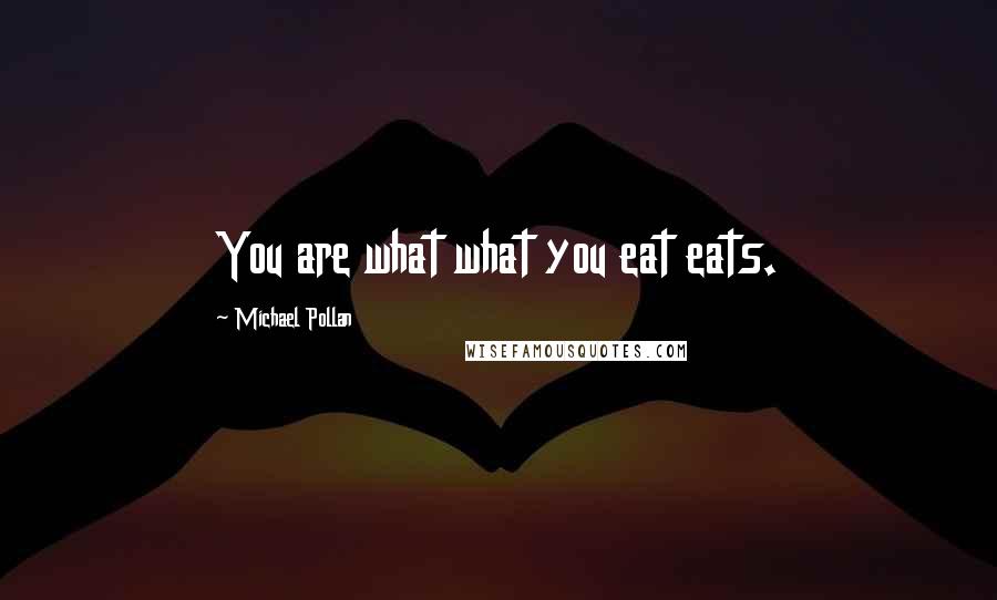Michael Pollan Quotes: You are what what you eat eats.