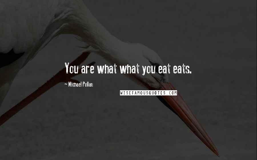 Michael Pollan Quotes: You are what what you eat eats.