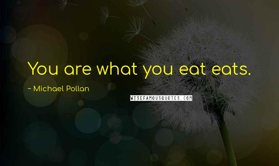 Michael Pollan Quotes: You are what you eat eats.