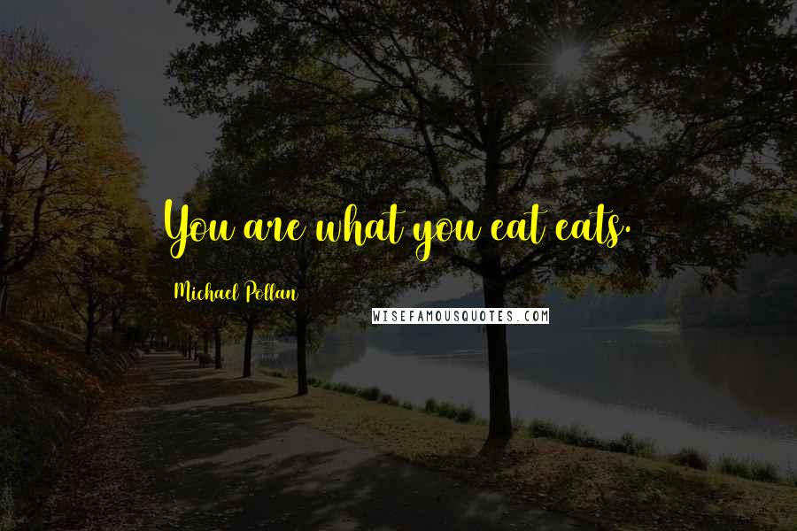 Michael Pollan Quotes: You are what you eat eats.