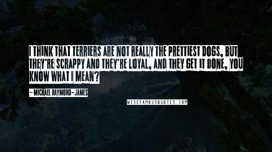 Michael Raymond-James Quotes: I think that terriers are not really the prettiest dogs, but they're scrappy and they're loyal, and they get it done, you know what I mean?