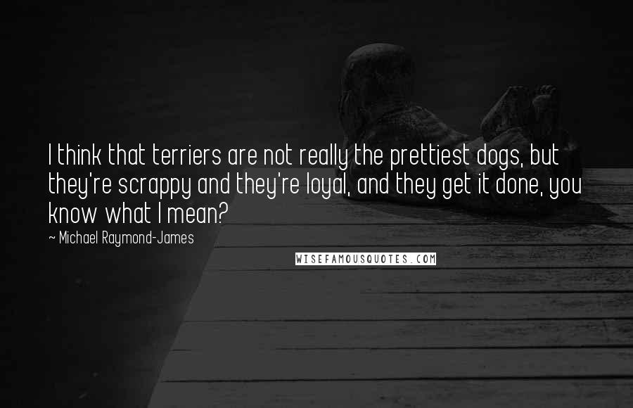 Michael Raymond-James Quotes: I think that terriers are not really the prettiest dogs, but they're scrappy and they're loyal, and they get it done, you know what I mean?