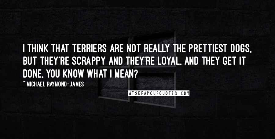 Michael Raymond-James Quotes: I think that terriers are not really the prettiest dogs, but they're scrappy and they're loyal, and they get it done, you know what I mean?