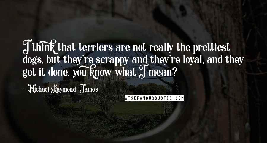 Michael Raymond-James Quotes: I think that terriers are not really the prettiest dogs, but they're scrappy and they're loyal, and they get it done, you know what I mean?