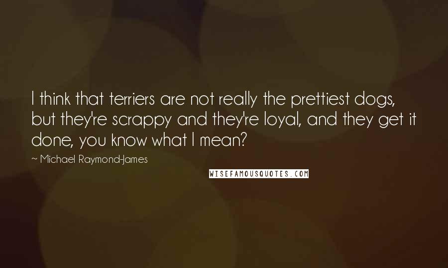 Michael Raymond-James Quotes: I think that terriers are not really the prettiest dogs, but they're scrappy and they're loyal, and they get it done, you know what I mean?