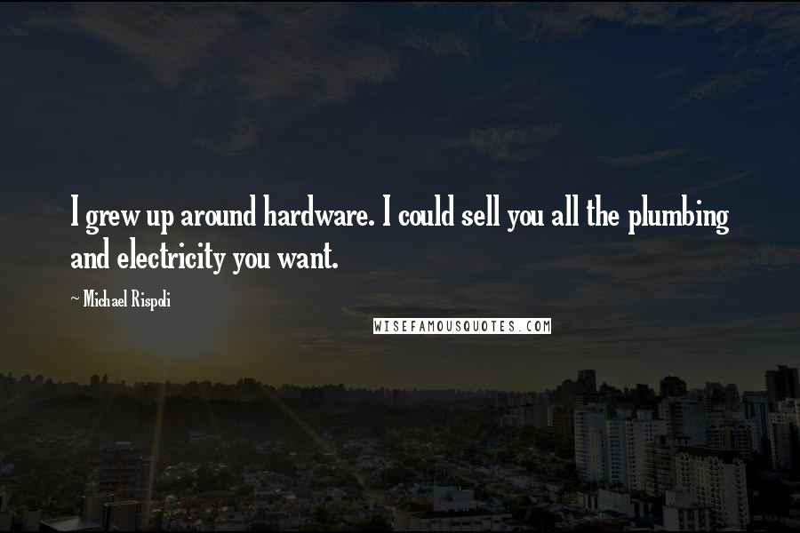 Michael Rispoli Quotes: I grew up around hardware. I could sell you all the plumbing and electricity you want.