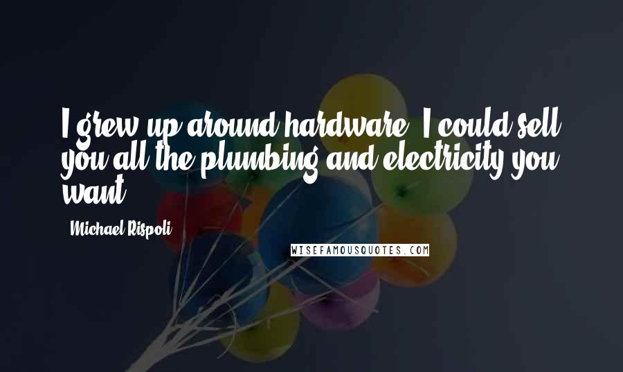 Michael Rispoli Quotes: I grew up around hardware. I could sell you all the plumbing and electricity you want.