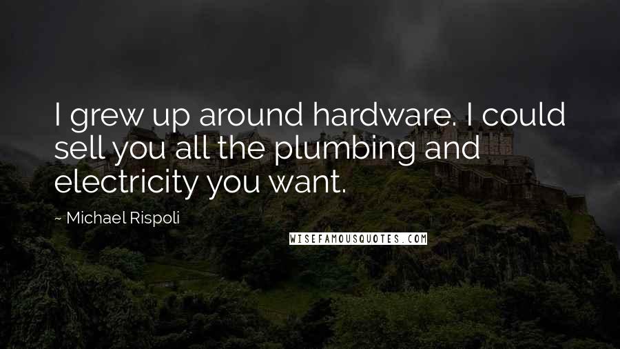 Michael Rispoli Quotes: I grew up around hardware. I could sell you all the plumbing and electricity you want.