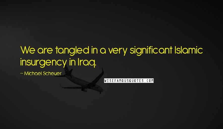 Michael Scheuer Quotes: We are tangled in a very significant Islamic insurgency in Iraq.
