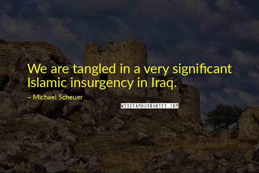 Michael Scheuer Quotes: We are tangled in a very significant Islamic insurgency in Iraq.