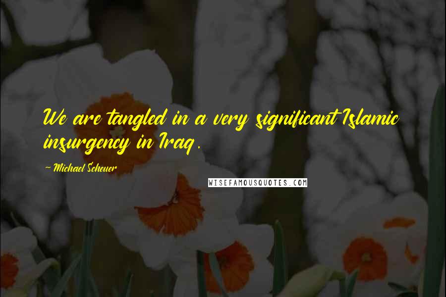 Michael Scheuer Quotes: We are tangled in a very significant Islamic insurgency in Iraq.