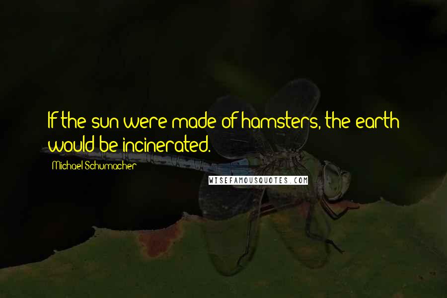 Michael Schumacher Quotes: If the sun were made of hamsters, the earth would be incinerated.