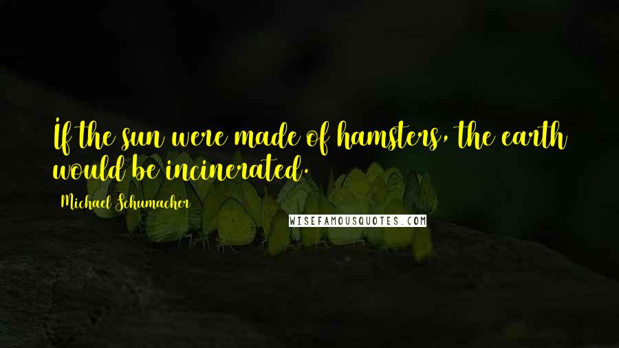 Michael Schumacher Quotes: If the sun were made of hamsters, the earth would be incinerated.