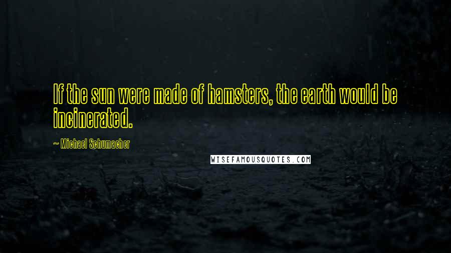 Michael Schumacher Quotes: If the sun were made of hamsters, the earth would be incinerated.