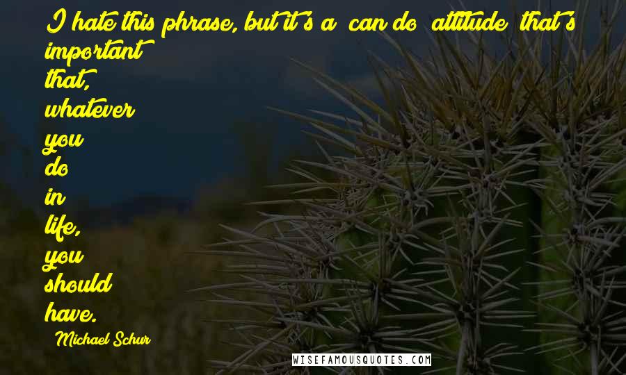 Michael Schur Quotes: I hate this phrase, but it's a "can do" attitude [that's important] that, whatever you do in life, you should have.