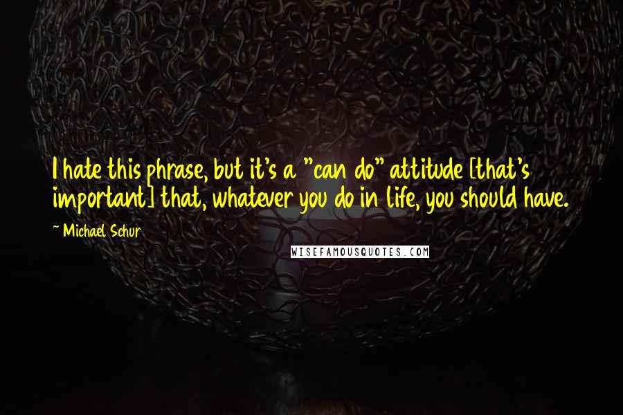 Michael Schur Quotes: I hate this phrase, but it's a "can do" attitude [that's important] that, whatever you do in life, you should have.