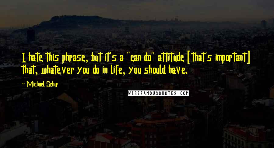 Michael Schur Quotes: I hate this phrase, but it's a "can do" attitude [that's important] that, whatever you do in life, you should have.