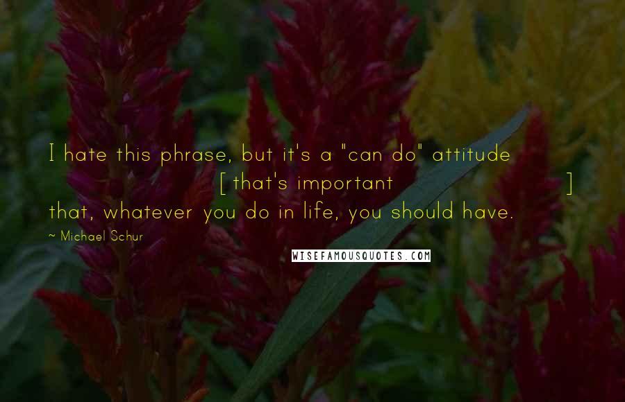 Michael Schur Quotes: I hate this phrase, but it's a "can do" attitude [that's important] that, whatever you do in life, you should have.