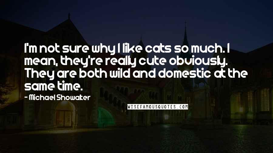 Michael Showalter Quotes: I'm not sure why I like cats so much. I mean, they're really cute obviously. They are both wild and domestic at the same time.