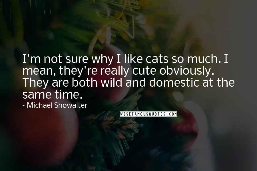 Michael Showalter Quotes: I'm not sure why I like cats so much. I mean, they're really cute obviously. They are both wild and domestic at the same time.