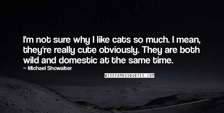 Michael Showalter Quotes: I'm not sure why I like cats so much. I mean, they're really cute obviously. They are both wild and domestic at the same time.