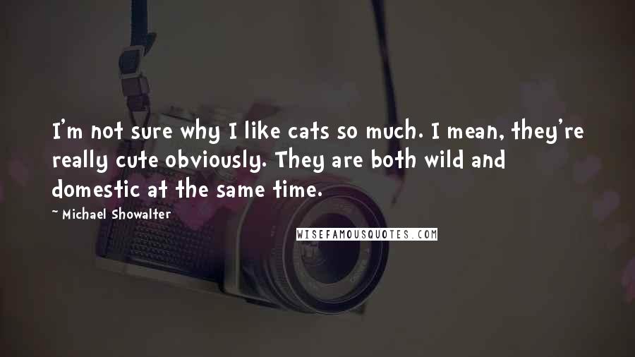 Michael Showalter Quotes: I'm not sure why I like cats so much. I mean, they're really cute obviously. They are both wild and domestic at the same time.