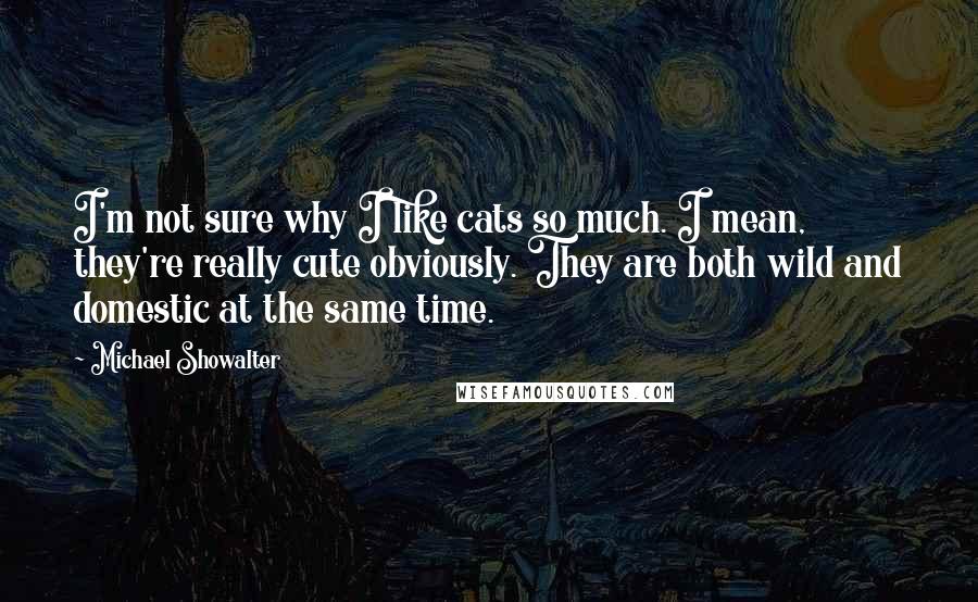 Michael Showalter Quotes: I'm not sure why I like cats so much. I mean, they're really cute obviously. They are both wild and domestic at the same time.