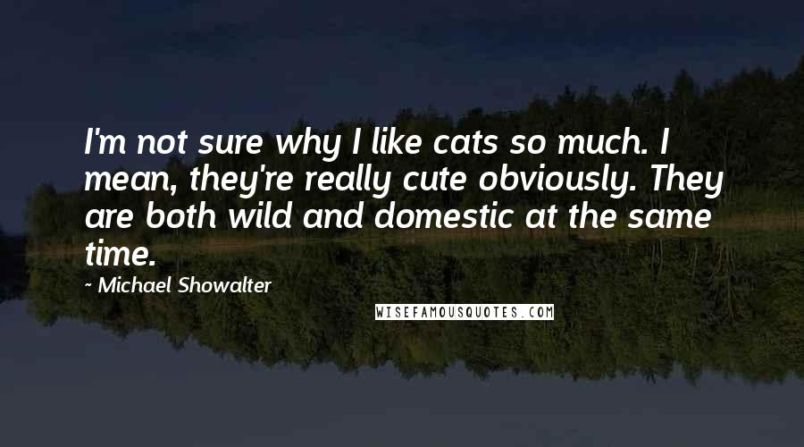 Michael Showalter Quotes: I'm not sure why I like cats so much. I mean, they're really cute obviously. They are both wild and domestic at the same time.
