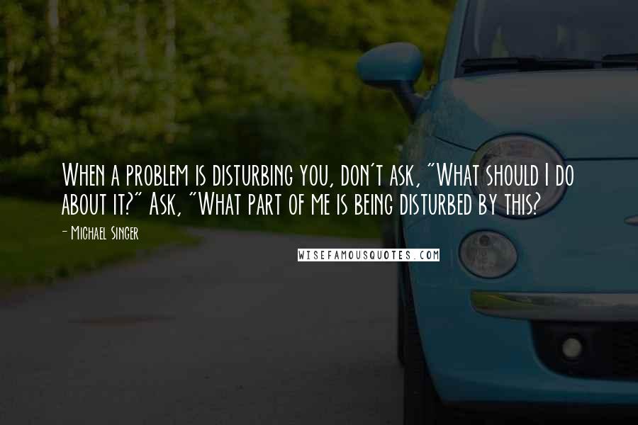 Michael Singer Quotes: When a problem is disturbing you, don't ask, "What should I do about it?" Ask, "What part of me is being disturbed by this?