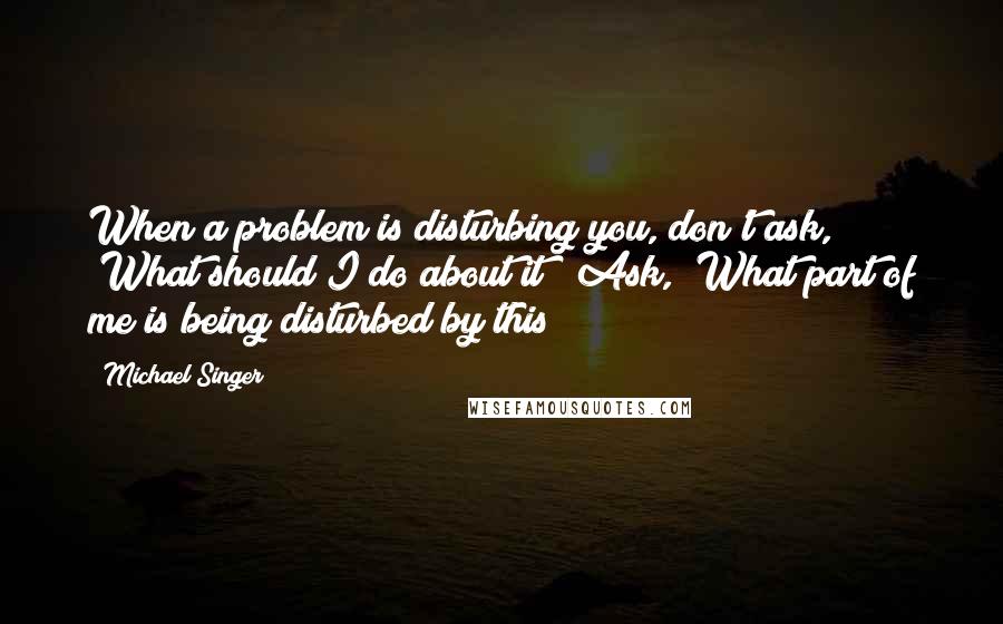 Michael Singer Quotes: When a problem is disturbing you, don't ask, "What should I do about it?" Ask, "What part of me is being disturbed by this?