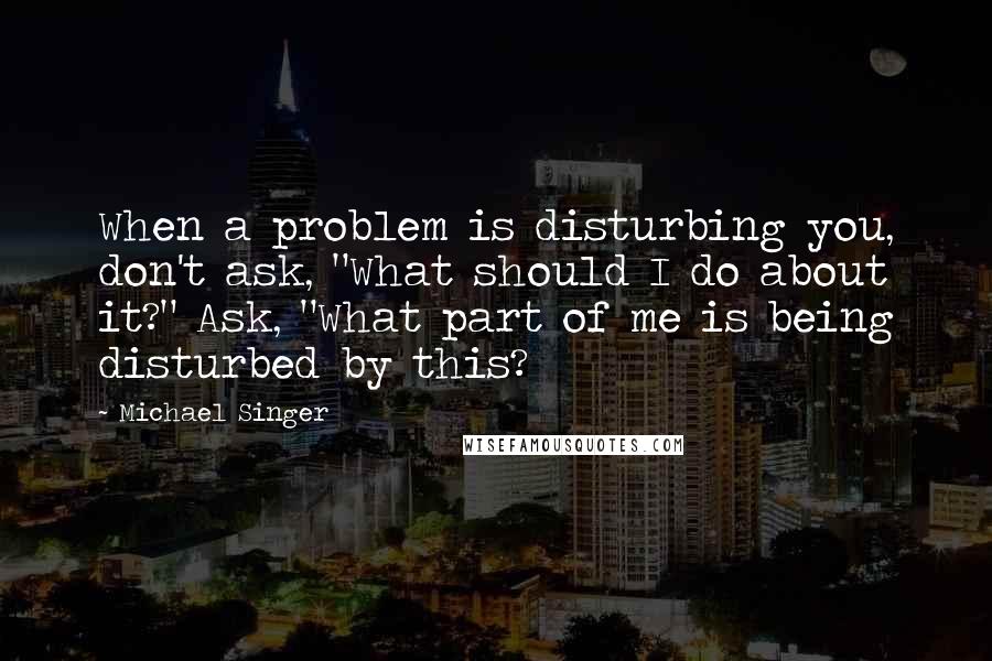 Michael Singer Quotes: When a problem is disturbing you, don't ask, "What should I do about it?" Ask, "What part of me is being disturbed by this?