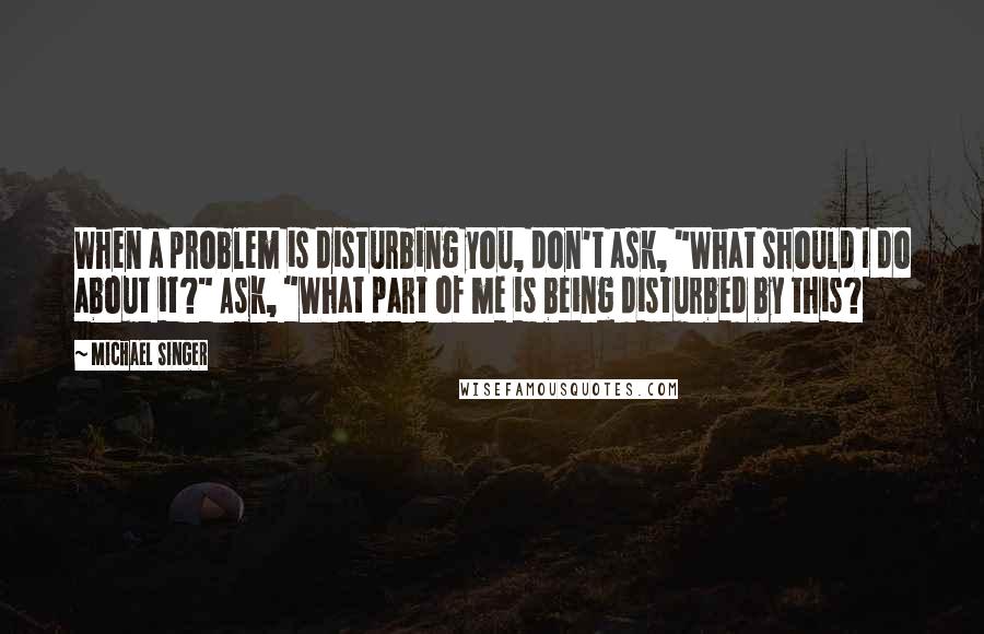 Michael Singer Quotes: When a problem is disturbing you, don't ask, "What should I do about it?" Ask, "What part of me is being disturbed by this?