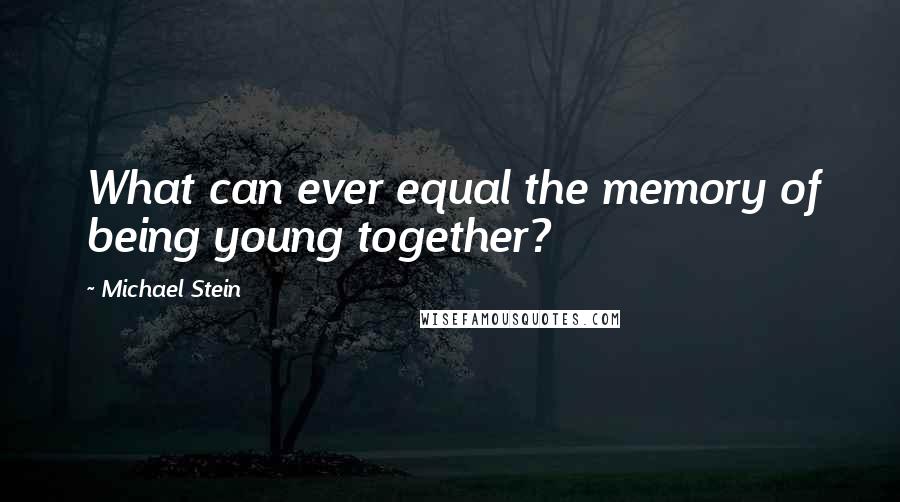 Michael Stein Quotes: What can ever equal the memory of being young together?