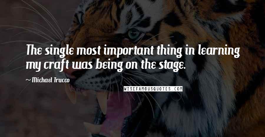 Michael Trucco Quotes: The single most important thing in learning my craft was being on the stage.