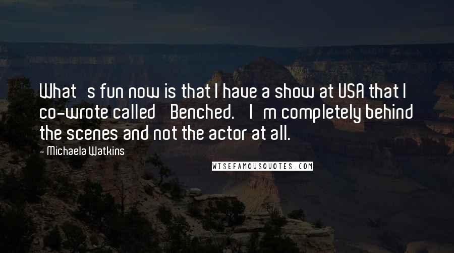 Michaela Watkins Quotes: What's fun now is that I have a show at USA that I co-wrote called 'Benched.' I'm completely behind the scenes and not the actor at all.