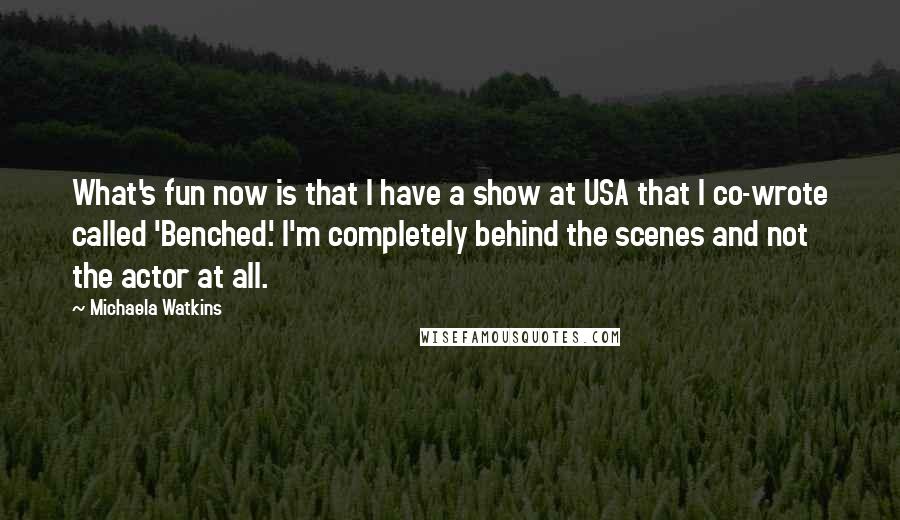 Michaela Watkins Quotes: What's fun now is that I have a show at USA that I co-wrote called 'Benched.' I'm completely behind the scenes and not the actor at all.