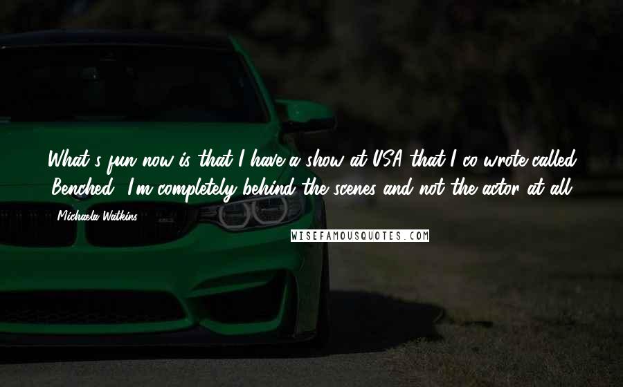 Michaela Watkins Quotes: What's fun now is that I have a show at USA that I co-wrote called 'Benched.' I'm completely behind the scenes and not the actor at all.