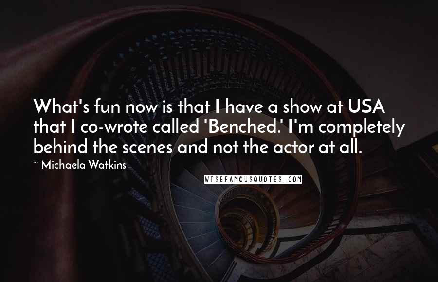 Michaela Watkins Quotes: What's fun now is that I have a show at USA that I co-wrote called 'Benched.' I'm completely behind the scenes and not the actor at all.