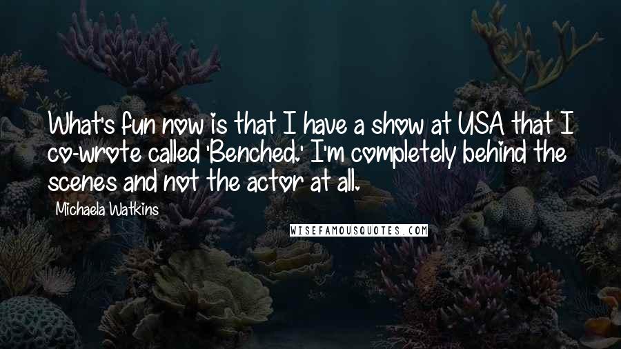 Michaela Watkins Quotes: What's fun now is that I have a show at USA that I co-wrote called 'Benched.' I'm completely behind the scenes and not the actor at all.