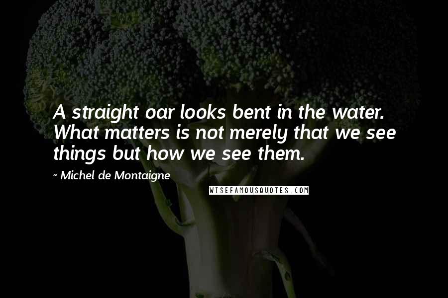 Michel De Montaigne Quotes: A straight oar looks bent in the water. What matters is not merely that we see things but how we see them.