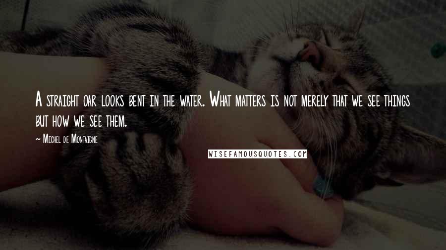 Michel De Montaigne Quotes: A straight oar looks bent in the water. What matters is not merely that we see things but how we see them.