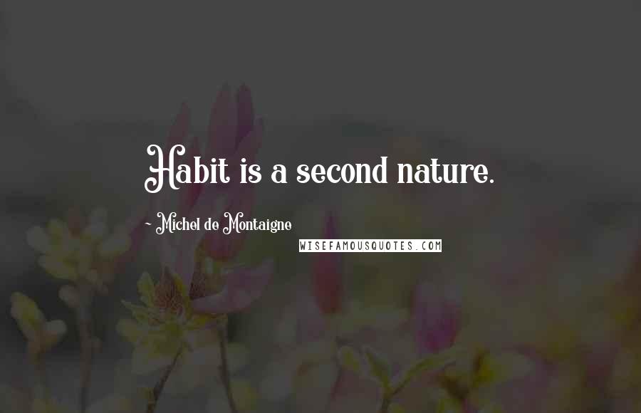 Michel De Montaigne Quotes: Habit is a second nature.
