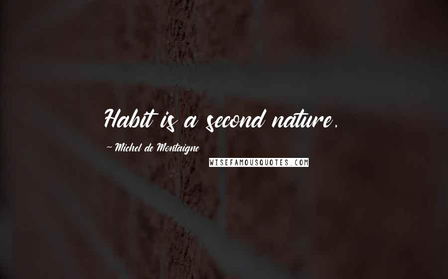 Michel De Montaigne Quotes: Habit is a second nature.