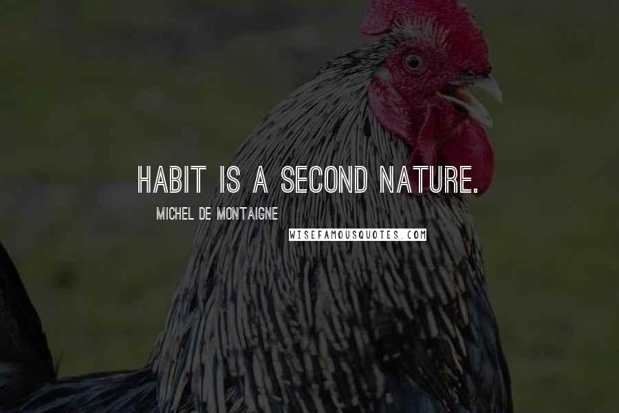 Michel De Montaigne Quotes: Habit is a second nature.