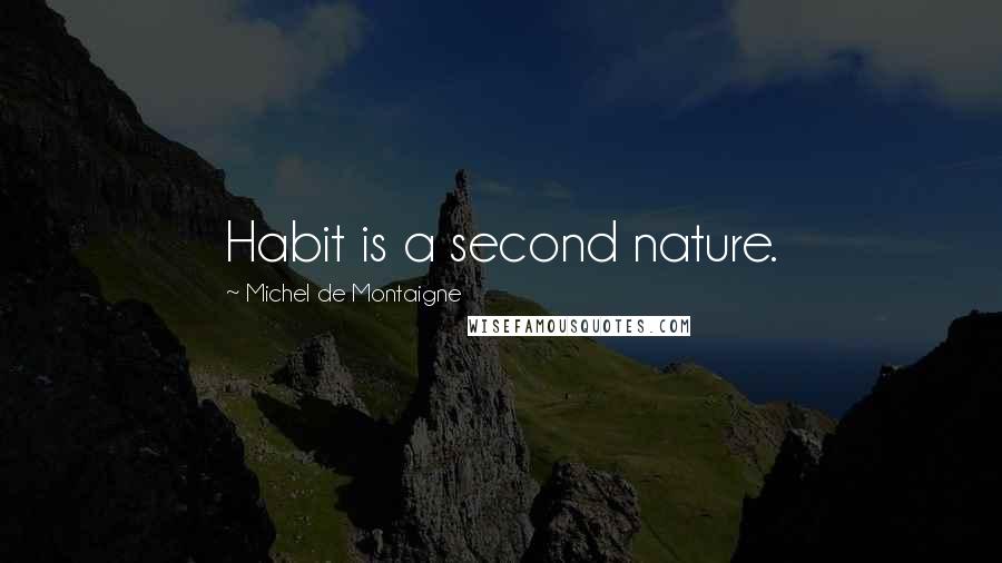 Michel De Montaigne Quotes: Habit is a second nature.