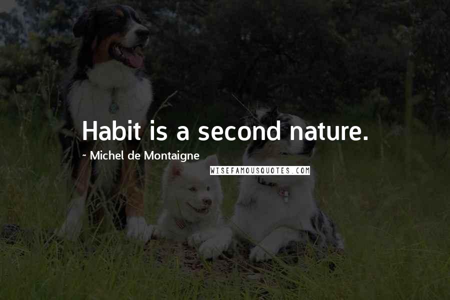 Michel De Montaigne Quotes: Habit is a second nature.