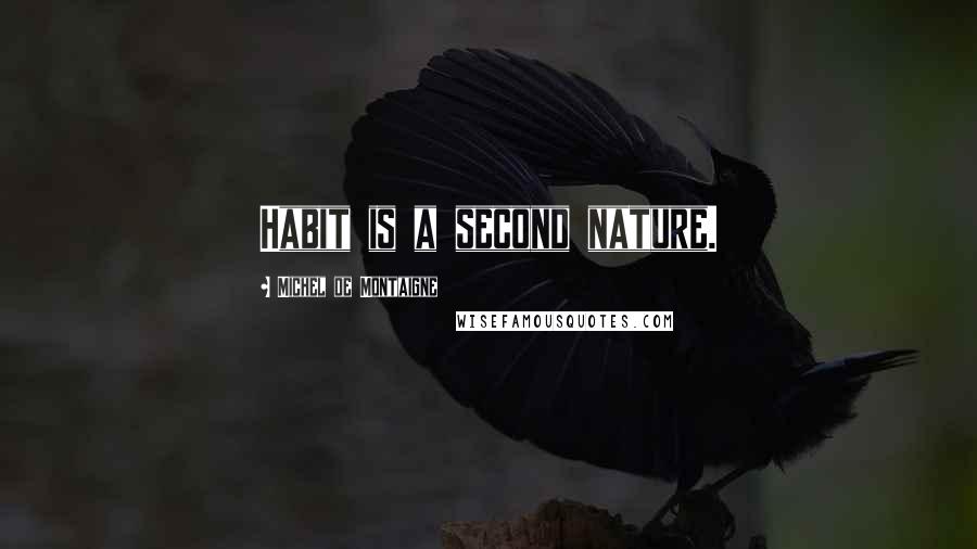 Michel De Montaigne Quotes: Habit is a second nature.