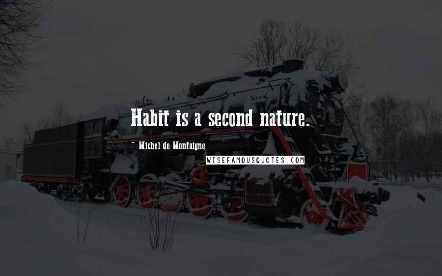 Michel De Montaigne Quotes: Habit is a second nature.