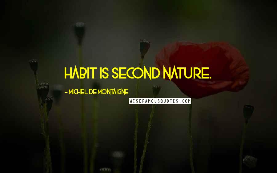 Michel De Montaigne Quotes: Habit is second nature.